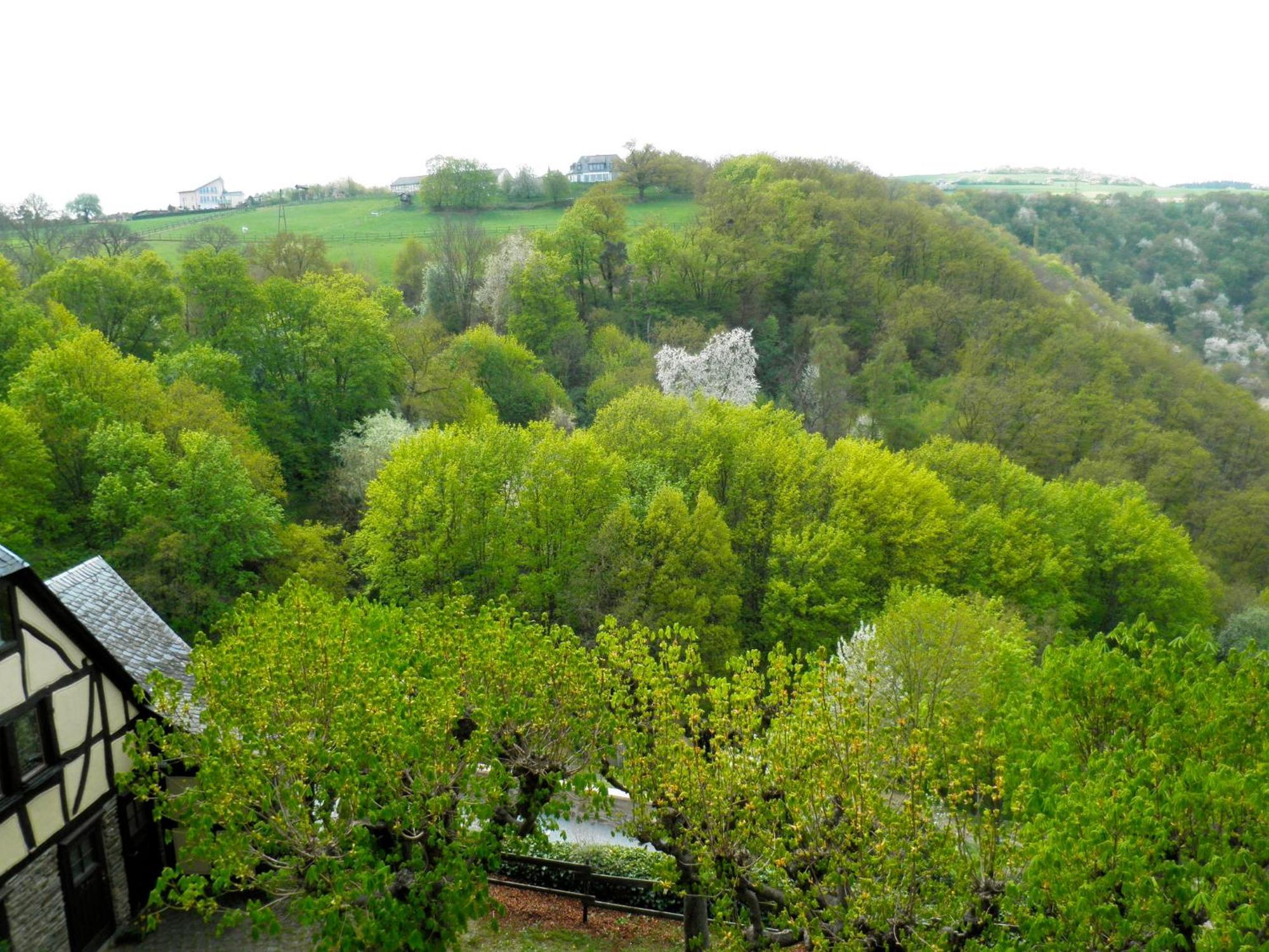 Burghotel Auf Schoenburg Oberwesel Room photo